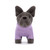 Jellycat Sweater French Bulldog Purple