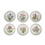 Portmeirion Botanic Garden Pasta / Low Bowls 8.5" - Set of 6