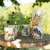 Vietri Foresta Primavera Assorted Mugs - Set of 4