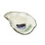 Abigails Seaside Oyster Plate Medium (Set of 4)