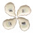 Abigails Seaside Oyster Plate Small (Set of 4)