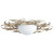 Cyan Design Vivian Two Light Ceiling Mount