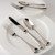 Fortessa Stainless Flatware San Marco 5 Piece Place Setting