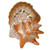 Herend Shaded Rust Fishnet Figurine - Conch Shell 5.25 inch L X 5 inch H