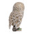 Jay Strongwater Owl 5" Figurine