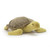Jellycat Terence Turtle Plush Toy