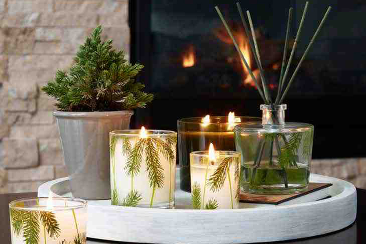 Thymes Frasier Fir Poured Candle 4-Wick - Distinctive Decor