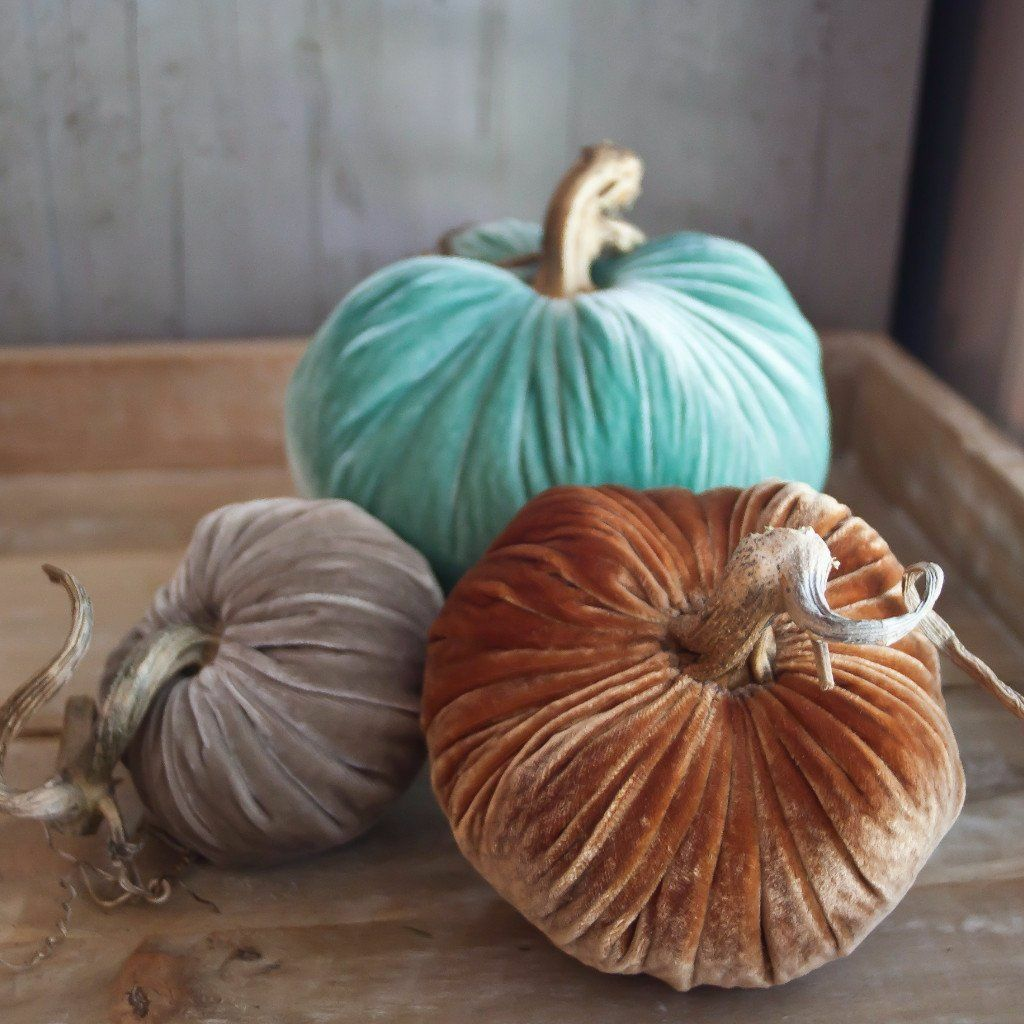 Plush Pumpkin Velvet Pumpkins