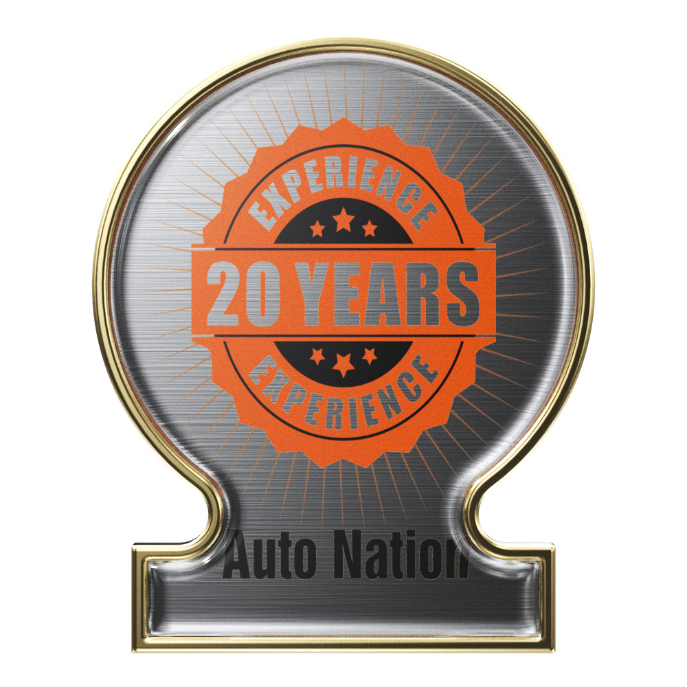 Express Balloon Shaped Lapel Pins