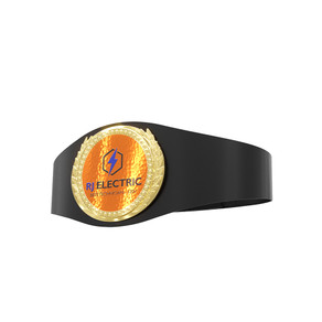 Express Lightweight Championship Belt w. Center Plate Only