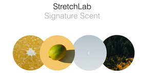 Air Aroma - Stretchlab Scent - 450Ml Cartrige