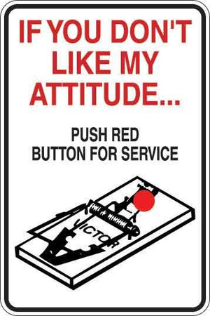 If You Don't Like My Attitude Sign Decal