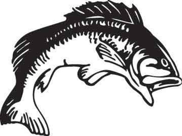 Fish Decal 1