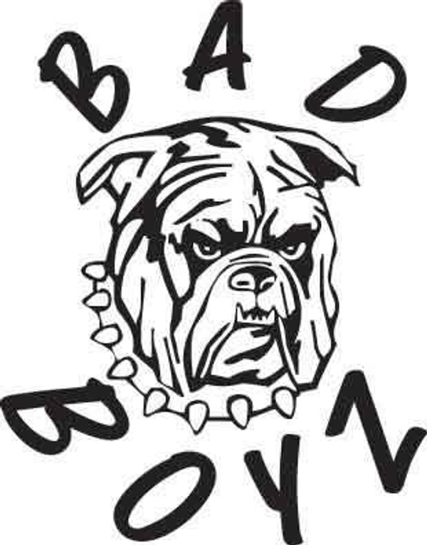 Bad Boyz Decal 1