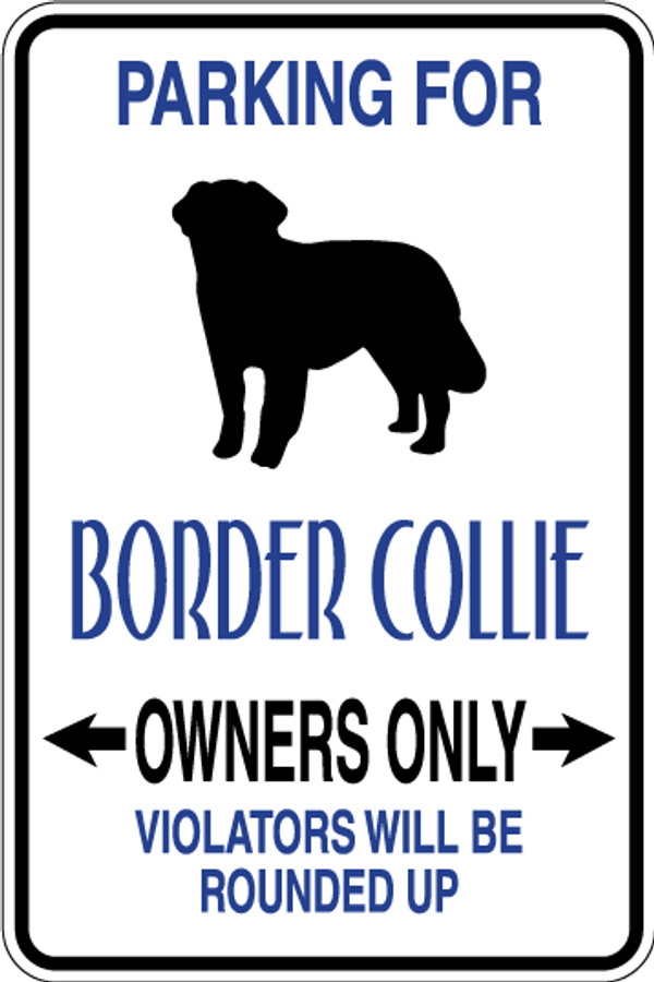 Border Collie Parking Only Sign Decal