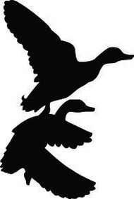 Geese Decal