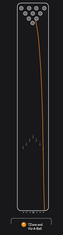 Brunswick Viz a Ball World Strike line