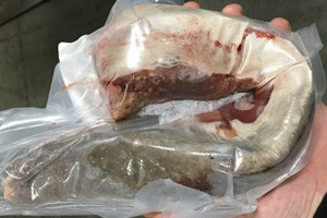 Organically raised Bison Tongue, Grass-Fed, Pastured 1.75 lb approx lffc Organically raised Bison Tongue, Grass-Fed, Pastured 1.75 lb approx lffc