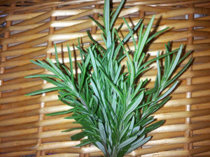 Fresh Organically grown Rosemary 1 small pack Fresh Organically grown Rosemary 1 small pack