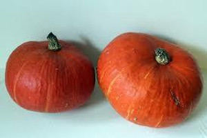 Organic Red Kabocha Squash – Nutty & Sweet | Sold by Each