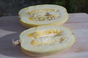 Organic Spaghetti Squash – PA Local | Sold by Each Organic Spaghetti Squash – PA Local | Sold by Each