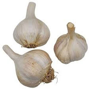 Organic Garlic 1 bulb Organic Garlic 1 bulb