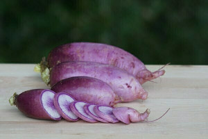 Organic Daikon Purple Radishes from Lancaster Farm Fresh Coop 1pound