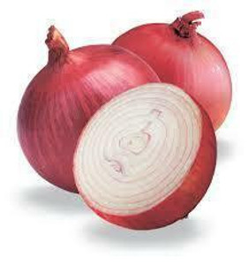 Organic Red Onions – 1 lb Fresh from Burkholder’s Farm Organic Red Onions – 1 lb Fresh from Burkholder’s Farm