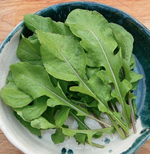 Fresh Organic Arugula – 8oz Bag | Local & Crisp Greens Fresh Organic Arugula – 8oz Bag | Local & Crisp Greens