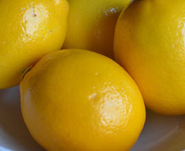 Organic Meyer Lemons  from Lancaster Farm Fresh Coop (5 pc)