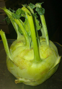 Organic Green Kossak  Kohlrabi LFFC