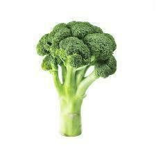 New! Organic Broccoli – 1 Head from Local PA Farm | Fresh & Nutritious