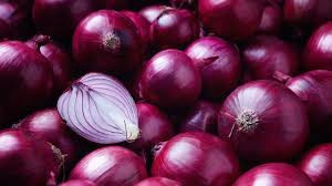 Fresh Organic Sweet Red Onions – 1pc Local PA Farm | Naturally Grown