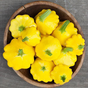Organic Yellow Patty Pan Summer Squash – 1 lb | Locally Farmed Family Co.