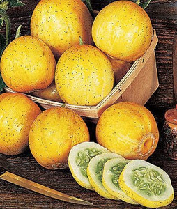 Organic Mixed White & Lemon Cucumbers – 1 lb | Sweet Heirloom Varieties