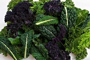 Organic Baby Leaf Kale – Fresh Tender Greens | 8 oz
