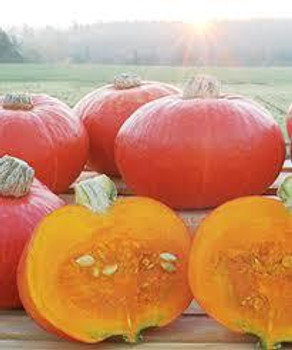 Organic Orange Sunshine Kabocha Squash. Sold By The Each Organic Orange Sunshine Kabocha Squash. Sold By The Each