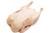 Conventional  Whole Young Duck from PA Local Farm