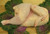 Pastured Non-GMO Chicken Half  from PA Local Farm Pastured Non-GMO Chicken Half  from PA Local Farm