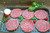 Grass-Fed, Organically raised Beef Patties (4 hamburgers 1 lb)