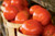 New! Organic Red Slicing Tomatoes from a local PA farm - 1lb