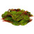 Organic Swiss Chard  6oz