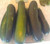 Organic Green Zucchini Squash – 2 pcs | Fresh from PA Farm