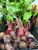 Organic Red Beets – 1 Bunch (3–5 Beets) | Fresh Local Farm-Grown