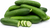 Organic Mini Persian Cucumbers – 1 lb | Lancaster Farm Fresh Cooperative