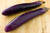 Organic Japanese Eggplant – 1 lb | Fresh Local Farm-Grown