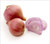 Organic Shallots – 8 oz | Burkholder Farm, Pennsylvania