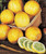 Organic Mixed White & Lemon Cucumbers – 1 lb | Sweet Heirloom Varieties