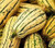 Organic Delicata Squash –  | Sweet, Tender & Naturally Grown 1piece