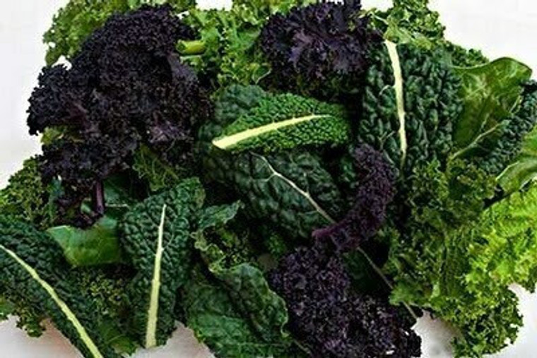New!  Organic Mixed Kale bunch  from Burkholder farm 8oz